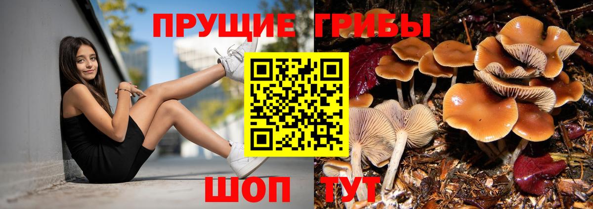 Псилоцибиновые грибы мухоморы Советский
