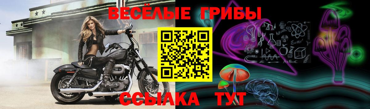 Галлюциногенные грибы мухоморы  Галлюциногенные грибы GOLDEN TEACHER  Советский  Вход с VPN 